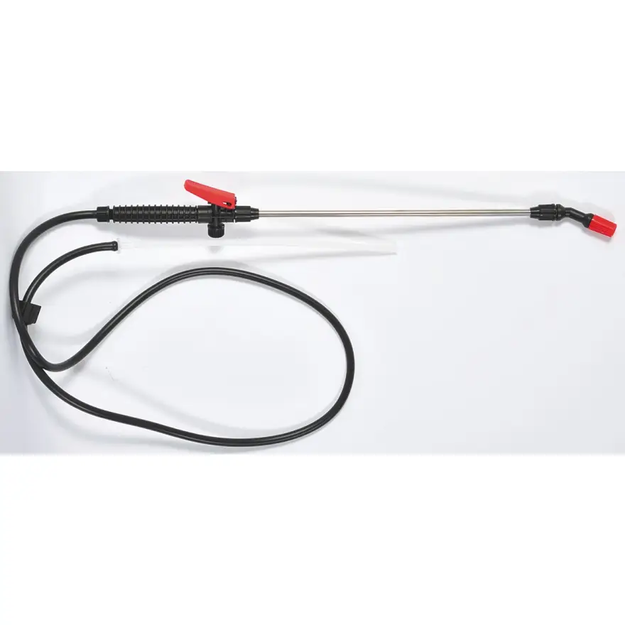 Lance set for pressure pumps