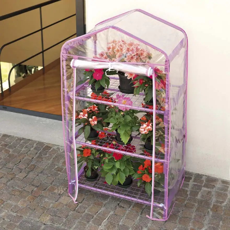 Azalea Lilac color 3 shelves