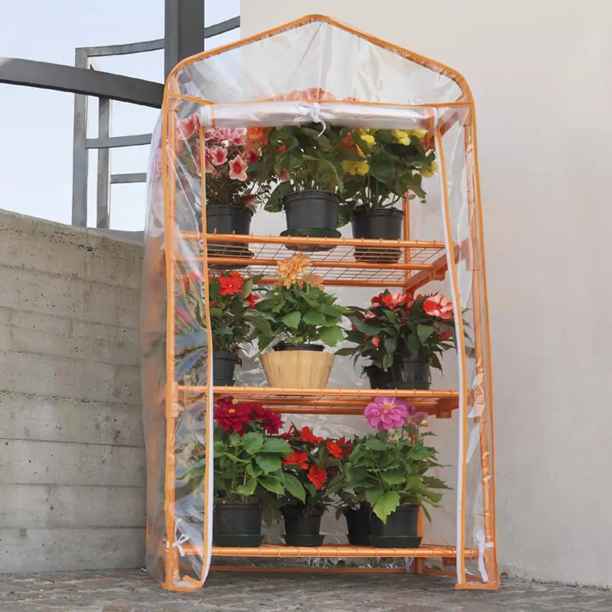 Azalea Orange color 3 shelves