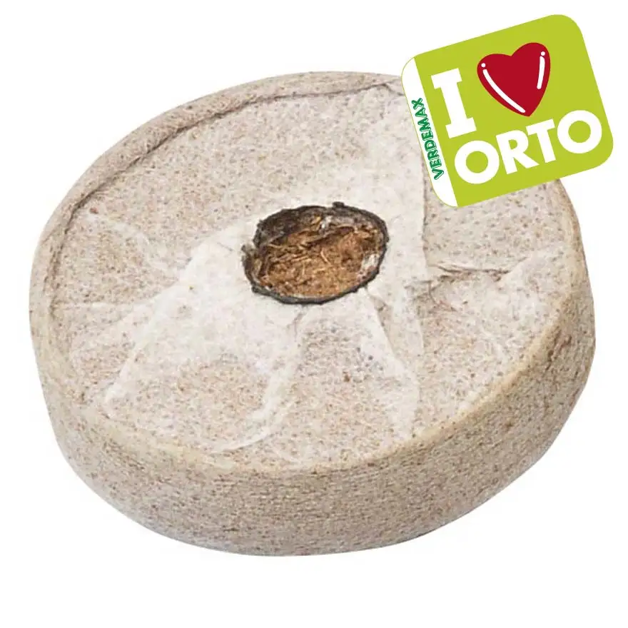 Coconut fiber pads with fabric