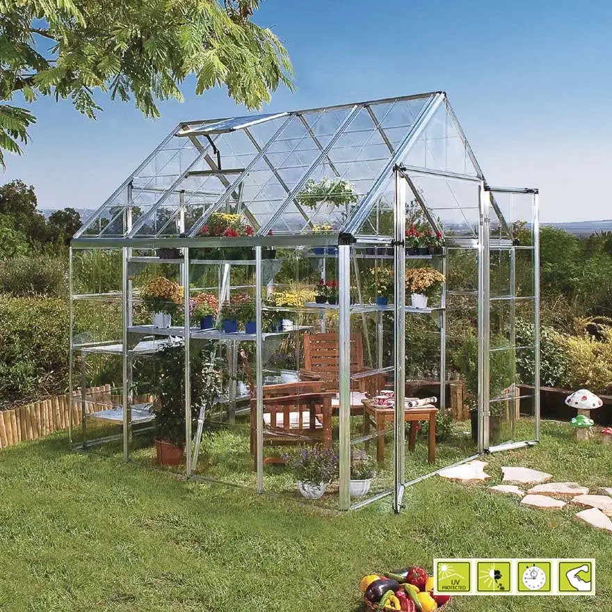 Doritis Large Greenhouse