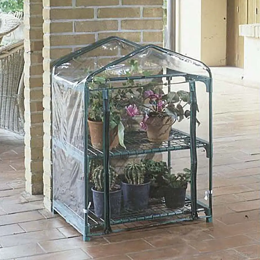 Azalea greenhouse with 2 shelves