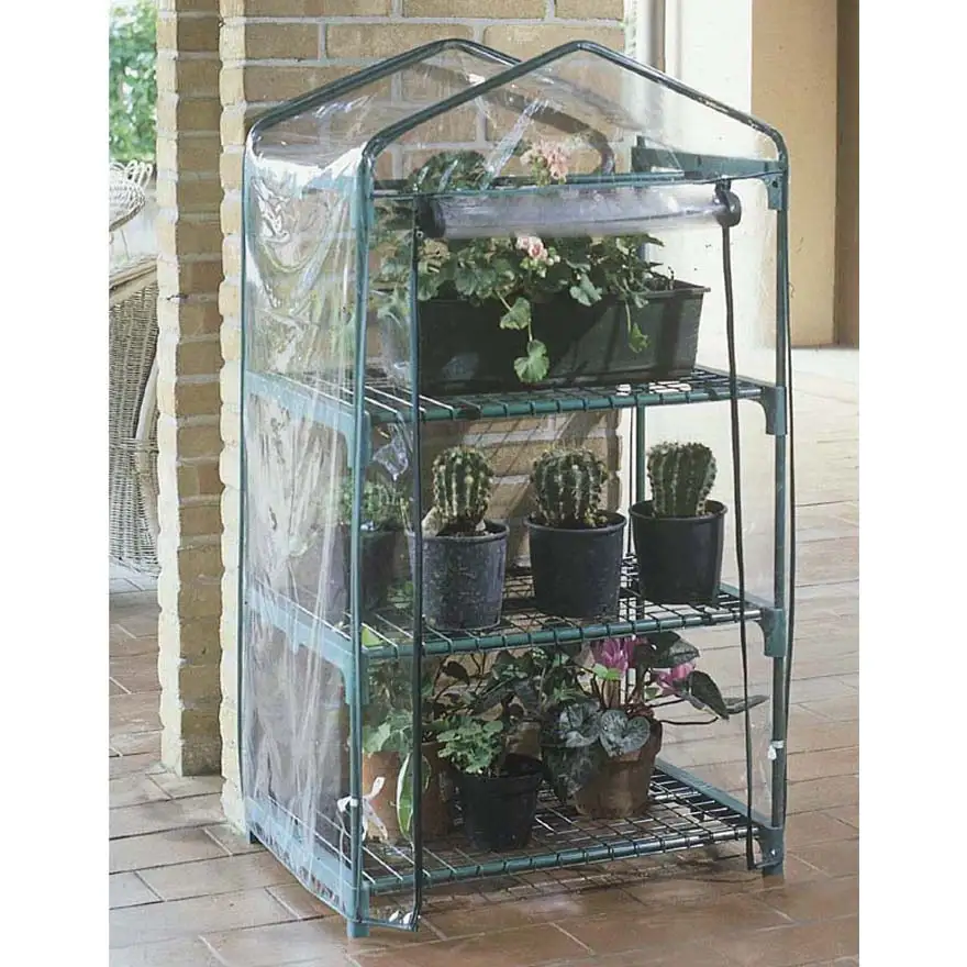 Azalea greenhouse with 3 shelves