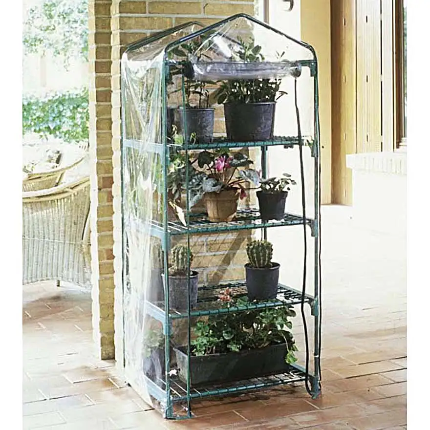 Azalea greenhouse with 4 shelves