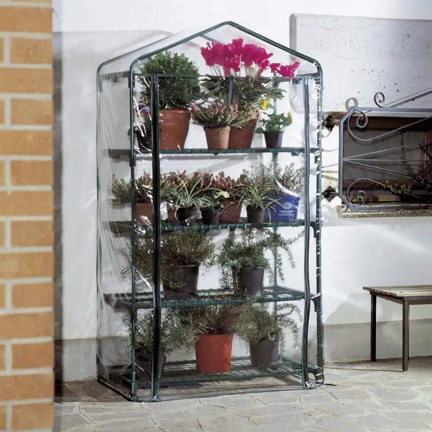 Azalea greenhouse with 4 shelves Big