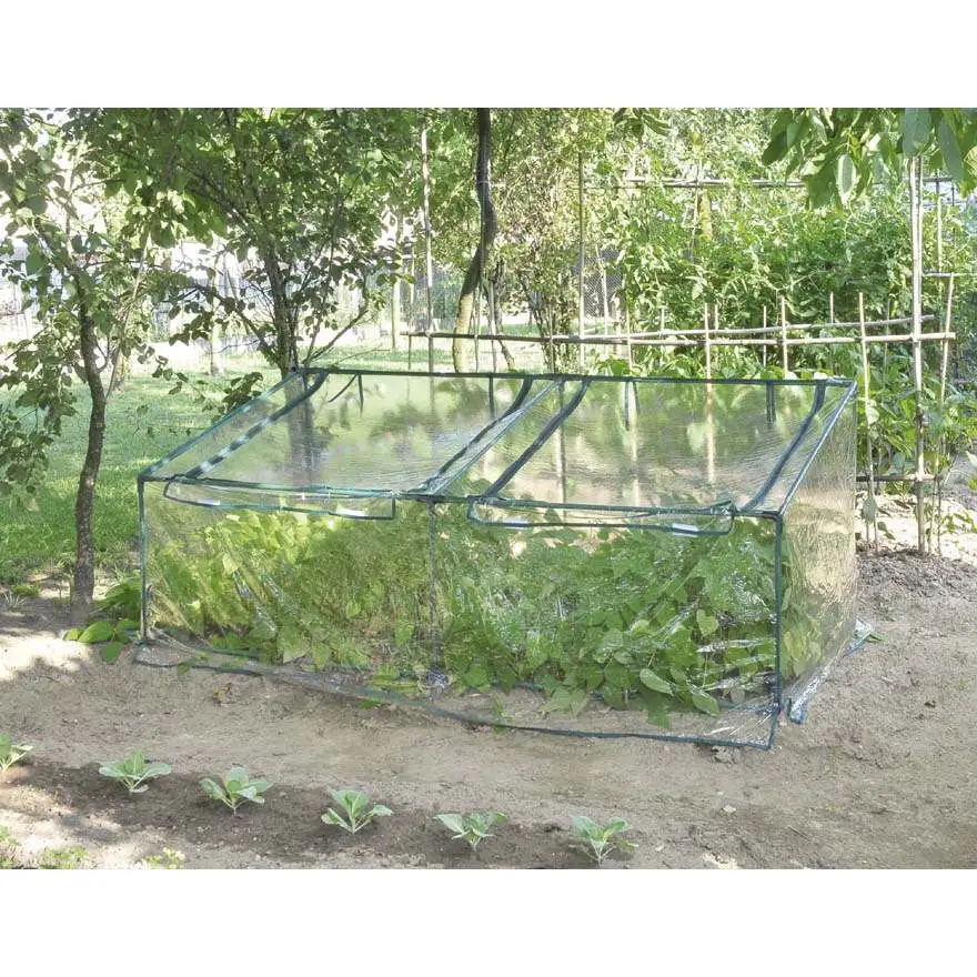 Greenhouse Primizia