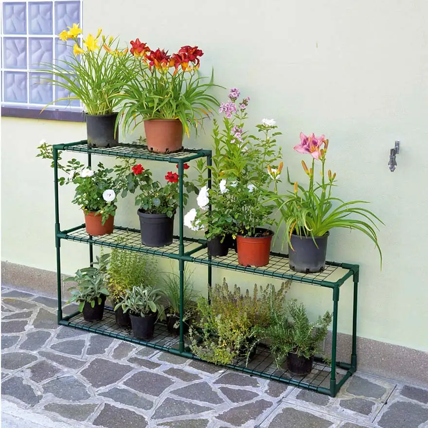 Shelf with shelves