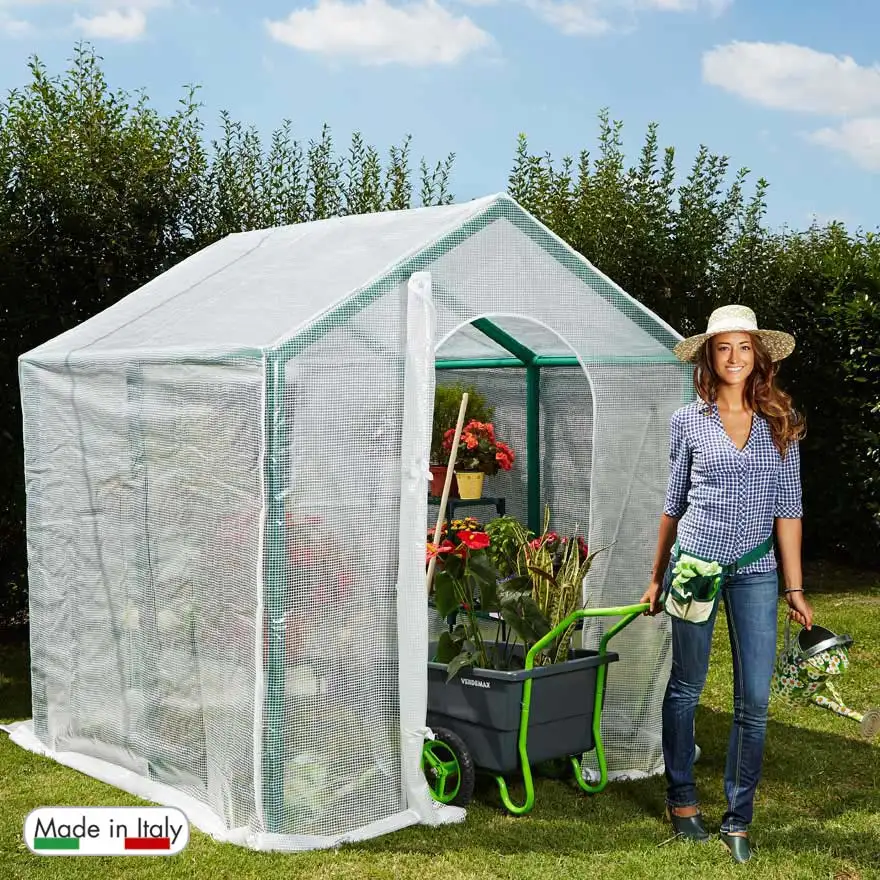 Violet greenhouse