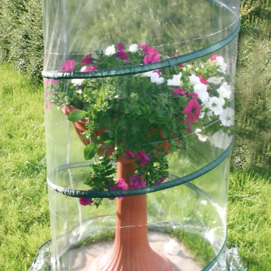 Pop-up Anthurium greenhouse