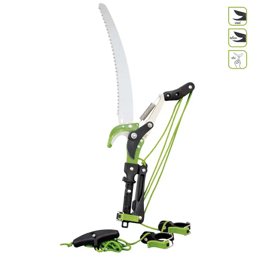 Saw complete with saw for telescopic rods
