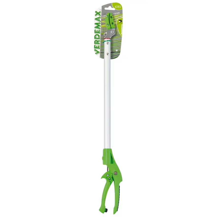 Asparagus harvesting scissors