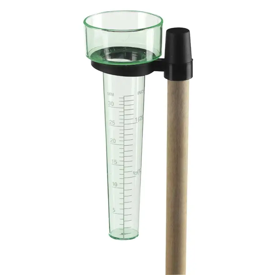 Rain gauge