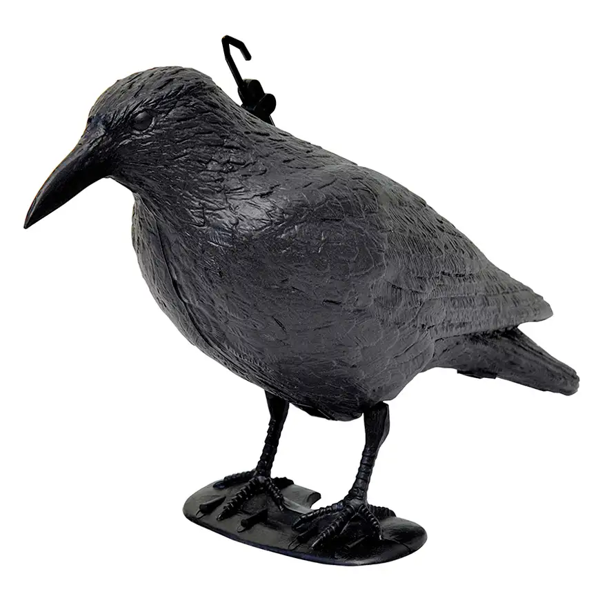 crow bird deterrent in PE