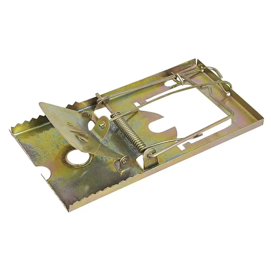 Maxi metal trap for mice