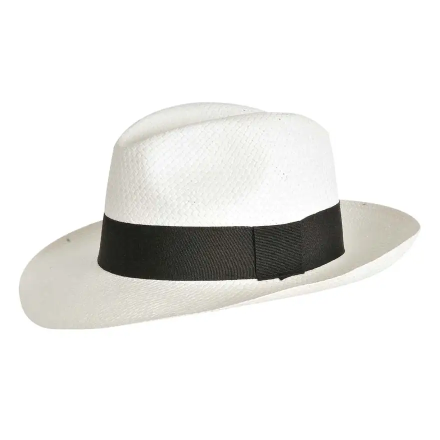 White Panama Hat