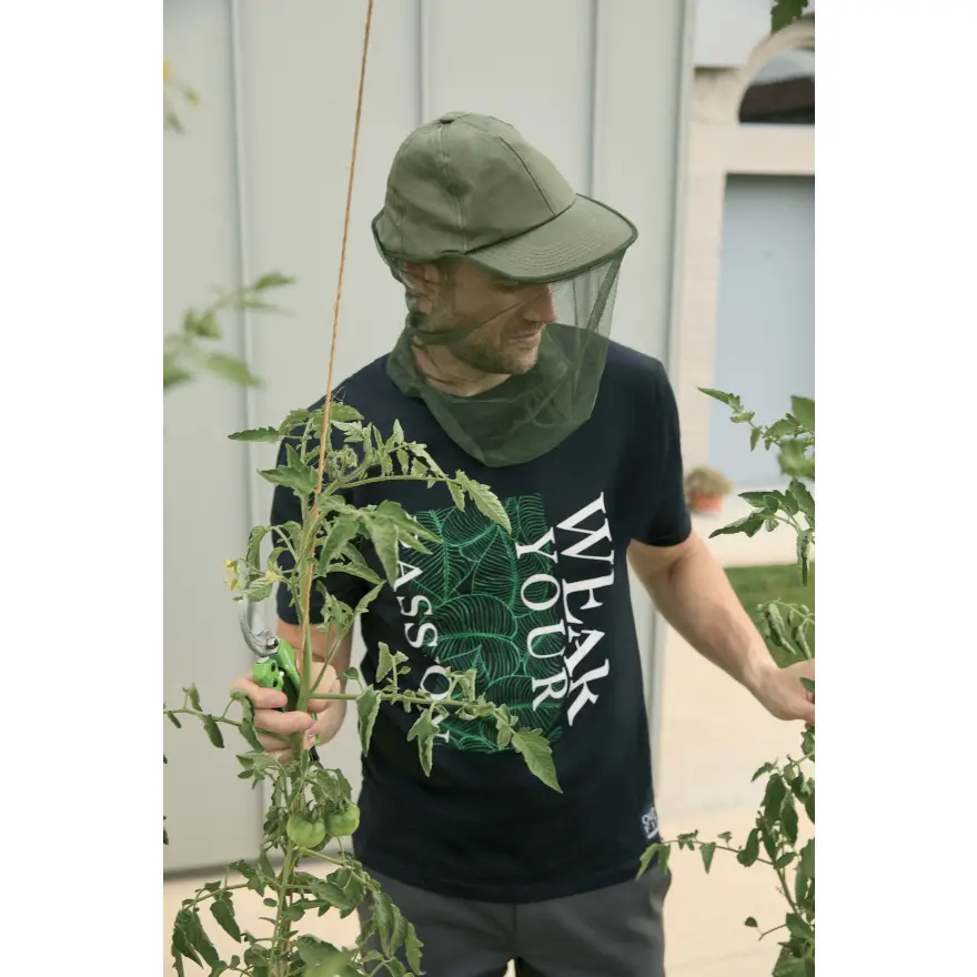 Retina protects insects with hat