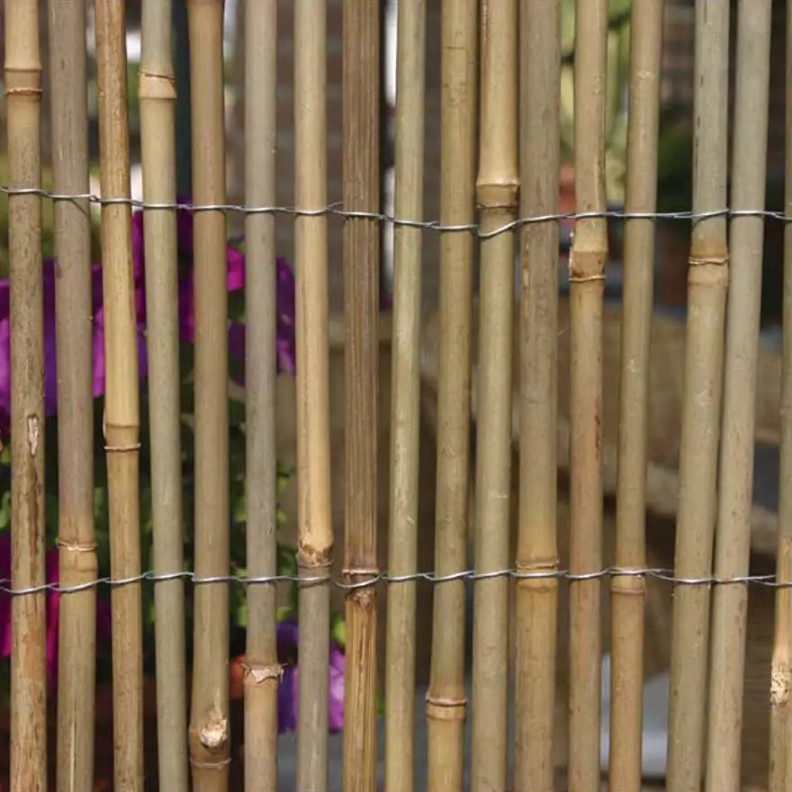 Natural bamboo arella with large cane tied with iron wire