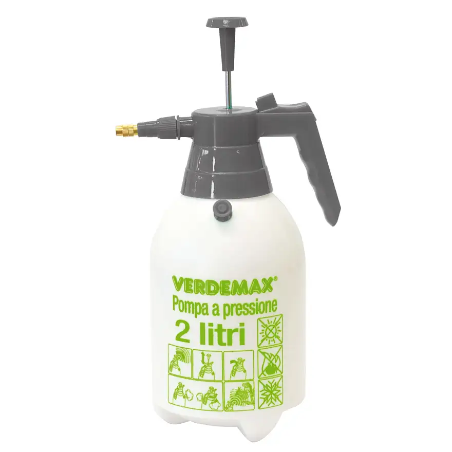 Professional pressure pump with safety valve