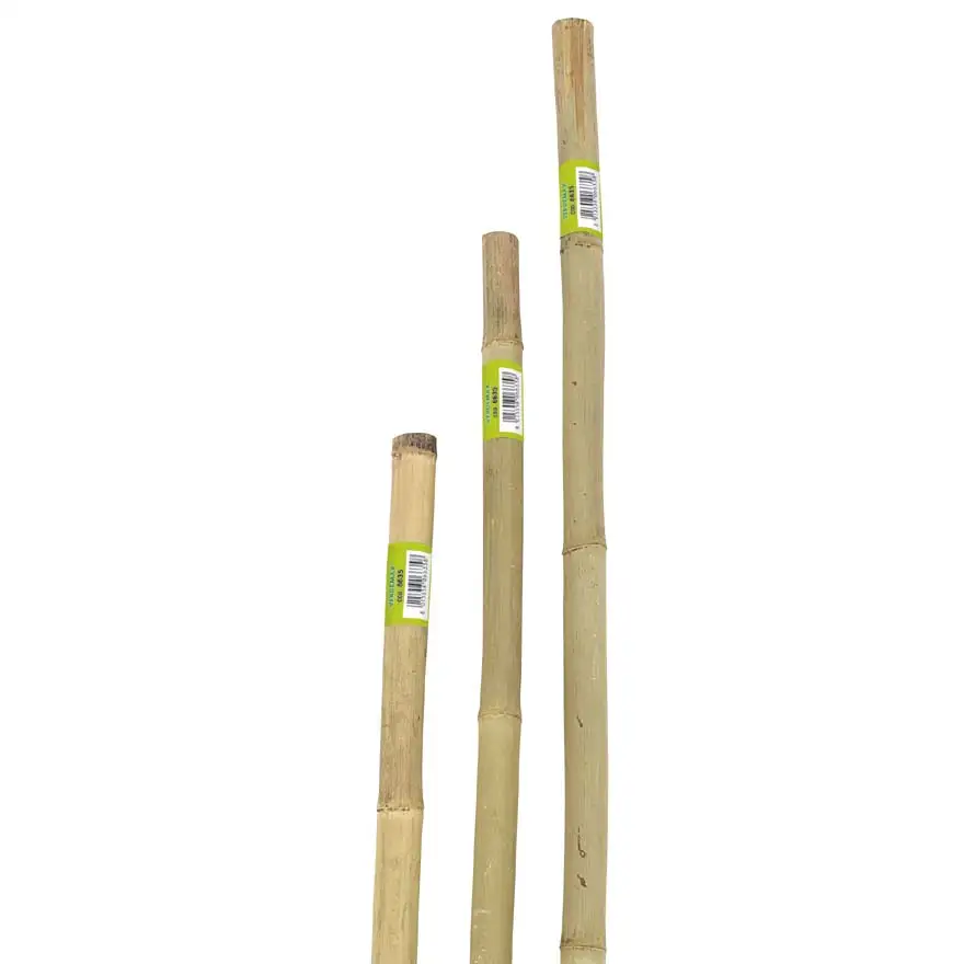 Bamboo braces heavy series