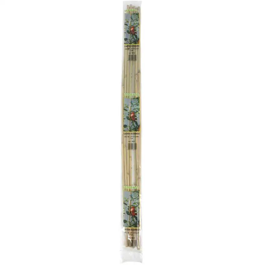 Bamboo braces
