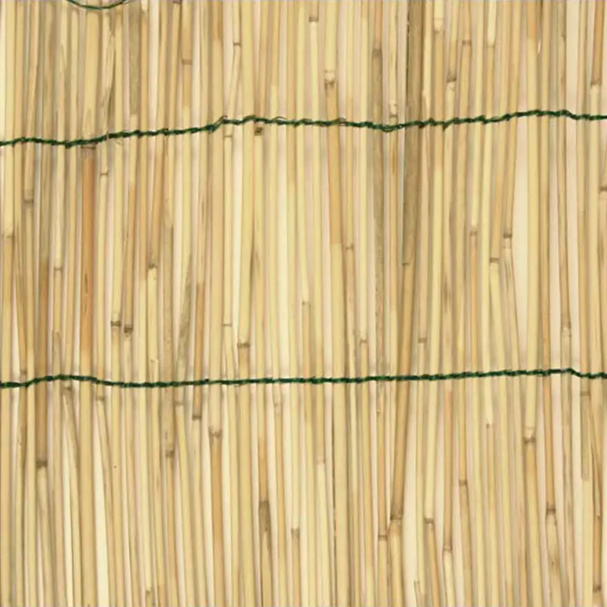 Natural bamboo arella tied with nylon thread