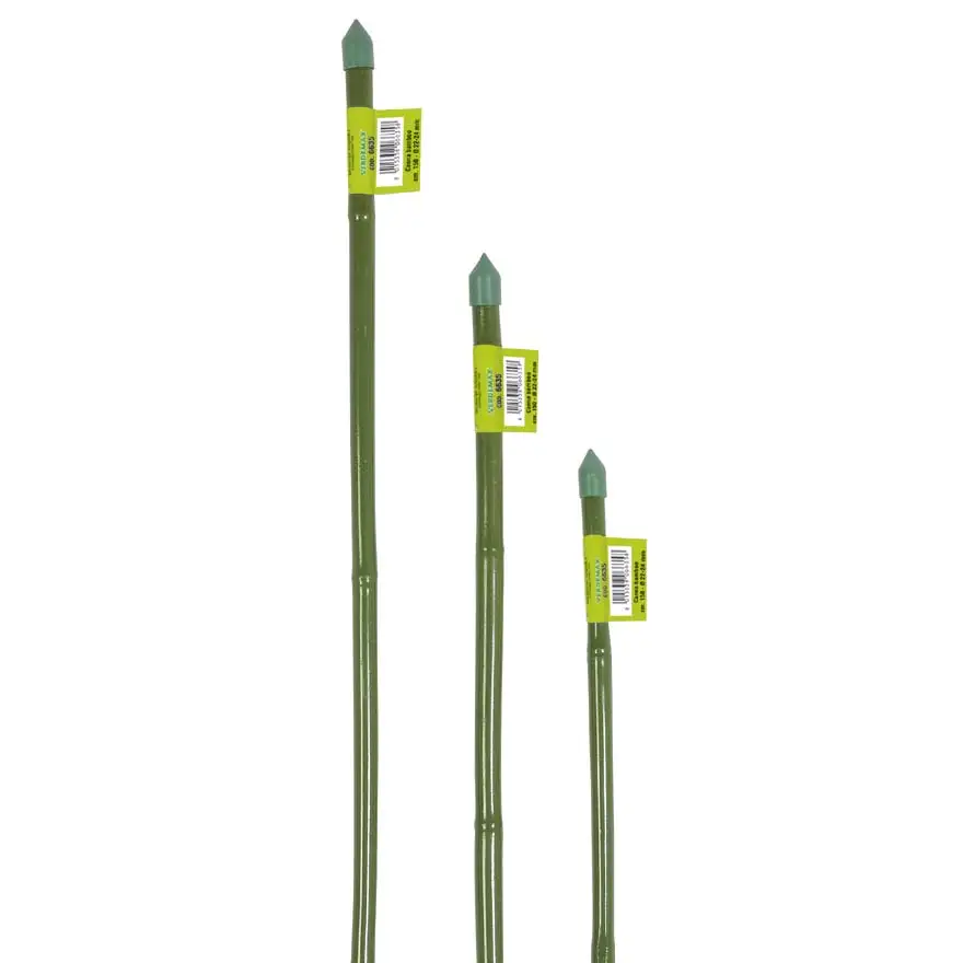 Green plasticized bamboo braces
